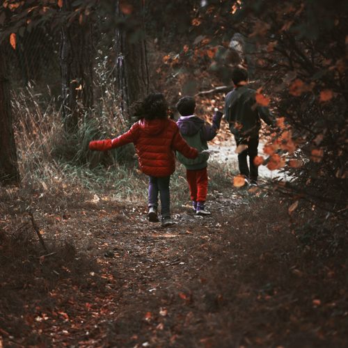 Stationäre Angebote 12