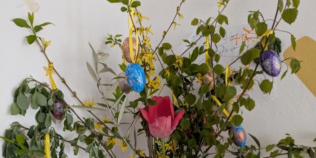 PXL 20250417 083447059